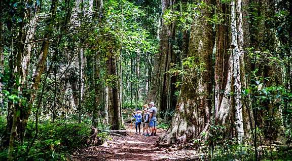 Southern Queensland Country | Everything to know about the Bunya…