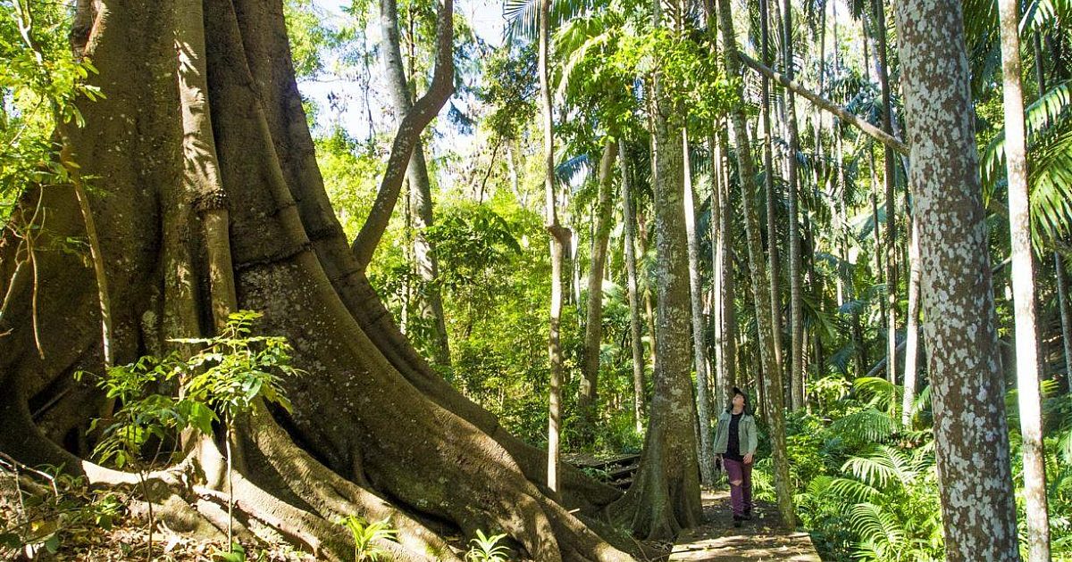 Cooyar | Southern Queensland Country