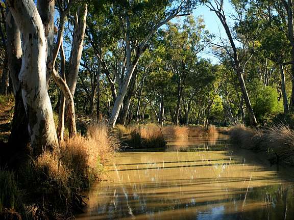 Millmerran | Southern Queensland Country