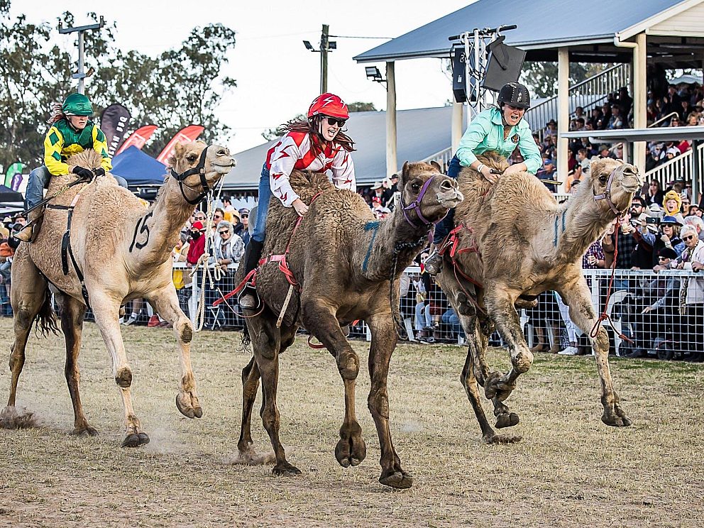 Dalby | Southern Queensland Country